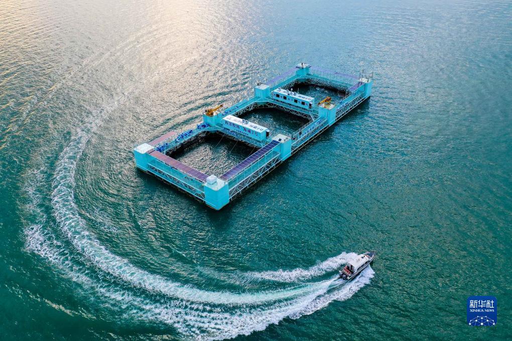 抢庄牛牛棋牌下载